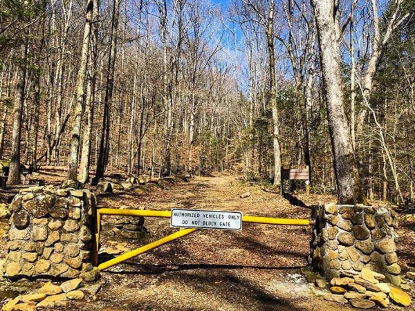 Barkley 2024 : les mises à&nbsp;jour