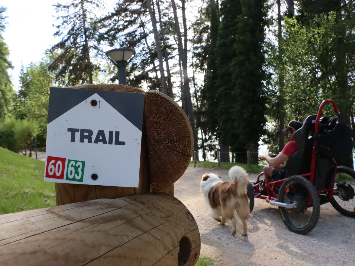 Handi&rsquo;spot : un label pour les sportifs en situation de&nbsp;handicap